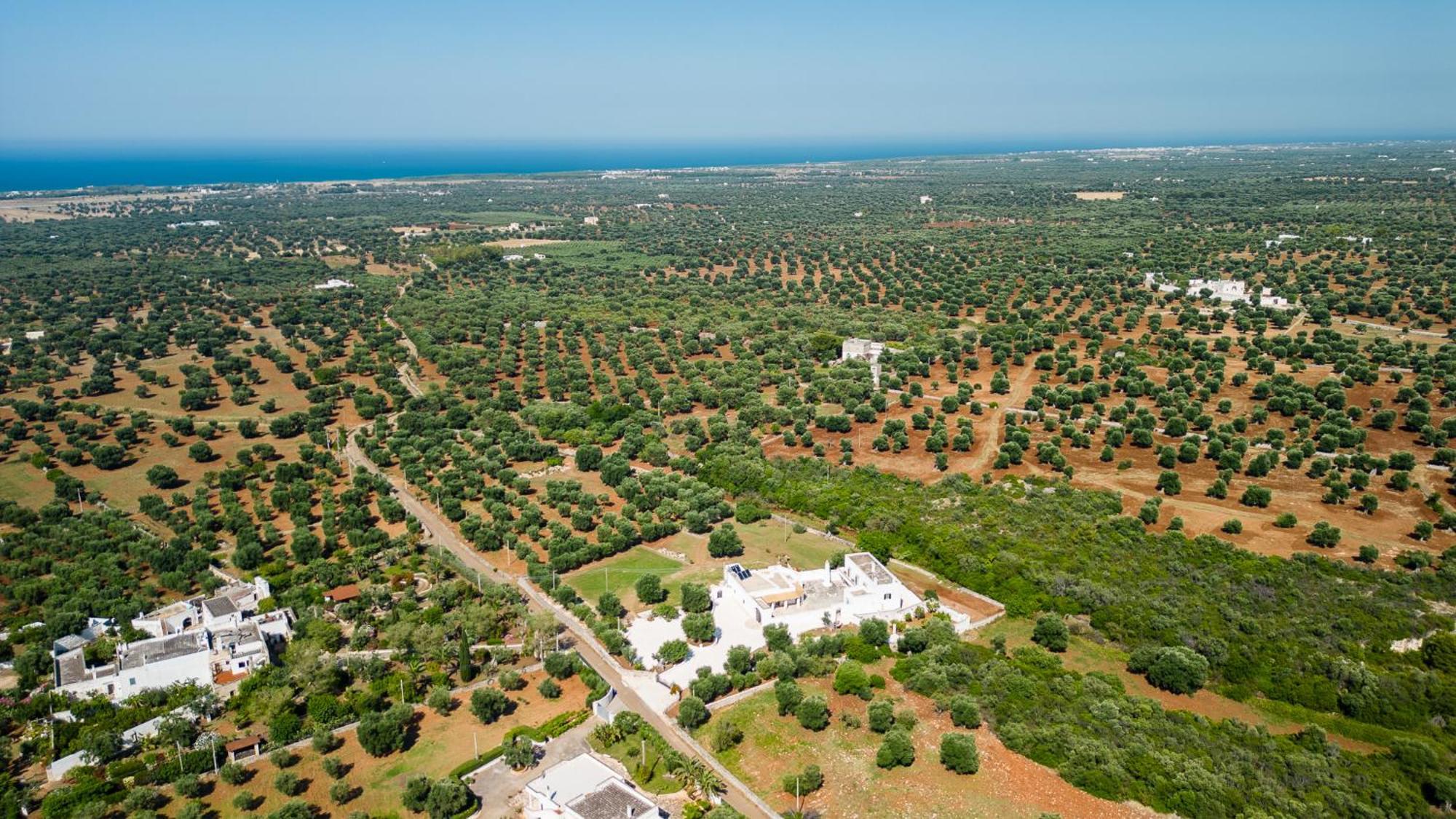 Masseria Abadia Uno Остуни Экстерьер фото